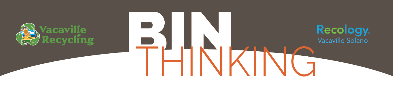 Bin Thinking Newsletters